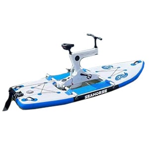 Bicicleta simple (N8.25)